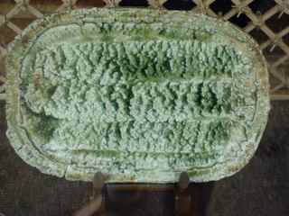 Plat vert
